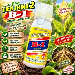 Phân Bón Vitamin B1 Thái Cung Cấp Dinh Dưỡng Cho Cây Trồng, Dung Tích 100ml