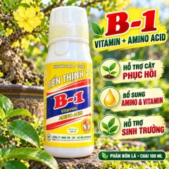 Phân Bón Vitamin B1 Thái Cung Cấp Dinh Dưỡng Cho Cây Trồng, Dung Tích 100ml