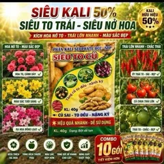 [ Combo 10 gói] Phân Kali 50% – Siêu To Củ, Kích Thích Xuống Củ Mạnh, Tăng Năng Suất Cây Củ
