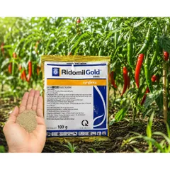 RIDOMILGOLD 68WG 100G – THUỐC TRỊ NẤM BỆNH CÂY TRỒNG HIỆU QUẢ