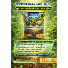 Trichoderma Bacillus SP 1KG – Kích Rễ Mạnh, Diệt Nấm Bệnh, Chống Thối Rễ, Vàng Lá, Vi Sinh Đất
