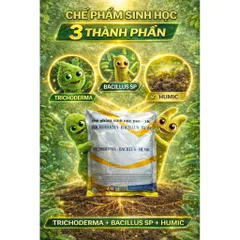 Trichoderma Bacillus SP 1KG – Kích Rễ Mạnh, Diệt Nấm Bệnh, Chống Thối Rễ, Vàng Lá, Vi Sinh Đất
