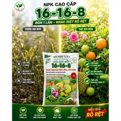 NPK 16-16-8 Thiên Phước 1KG - Phân Bón Rau Màu Hoa Cây Cảnh - Bật Chồi Mạnh, Ra Hoa Nhiều, Trái To Đẹp