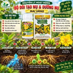 Combo Tạo Nụ Dưỡng Nụ Mai Vàng 0-38-7 – Hỗ Trợ Tạo Nhiều Nụ, Nụ To Mập, Hoa Nở Đẹp