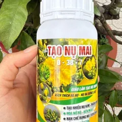 Combo Tạo Nụ Dưỡng Nụ Mai Vàng 0-38-7 – Hỗ Trợ Tạo Nhiều Nụ, Nụ To Mập, Hoa Nở Đẹp