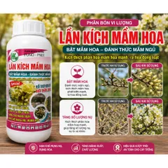 Lân Kích Mầm Hoa 500ml HK FUNO PN01 - Bật Mầm Hoa, Tăng Nụ, Hỗ Trợ Ra Hoa Đồng Loạt Cho Mai, Lan, Hoa Giấy, Cây Ăn Trái