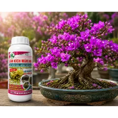 Lân Kích Mầm Hoa 500ml HK FUNO PN01 - Bật Mầm Hoa, Tăng Nụ, Hỗ Trợ Ra Hoa Đồng Loạt Cho Mai, Lan, Hoa Giấy, Cây Ăn Trái