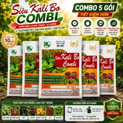 COMBO 5 GÓI SIÊU KALI BO COMBI HK-007 100G – PHÂN BÓN LÁ NPK TRUNG VI LƯỢNG