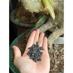 Phân Dơi gói 1kg  Hải An Khang 100% Organic Đã Qua Xử Lý cho kiểng mai vàng và bonsai