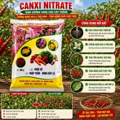 Canxi Nitrate Siêu Tạo Mầm Hoa Tăng Đậu Quả 100gram - Chống Rụng Hoa Trái Non - Hạn Chế Thối Trái -Tăng Khả Năng Hấp Thu