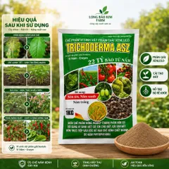 Trichoderma ASZ 1KG – Trị Tuyến Trùng Rễ Hiệu Quả, Diệt U Sưng Rễ, Kích Rễ Mạnh, 22 Tỷ Bào Tử