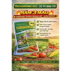 Trichoderma ASZ 1KG – Trị Tuyến Trùng Rễ Hiệu Quả, Diệt U Sưng Rễ, Kích Rễ Mạnh, 22 Tỷ Bào Tử