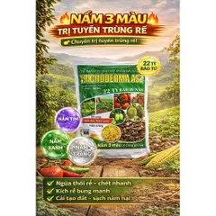 Trichoderma ASZ 1KG – Trị Tuyến Trùng Rễ Hiệu Quả, Diệt U Sưng Rễ, Kích Rễ Mạnh, 22 Tỷ Bào Tử
