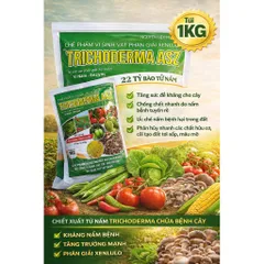 Trichoderma ASZ 1KG – Trị Tuyến Trùng Rễ Hiệu Quả, Diệt U Sưng Rễ, Kích Rễ Mạnh, 22 Tỷ Bào Tử
