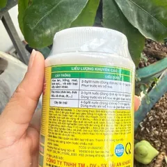 Siêu to trái 20-20-20 + TE 100g Cho Cây Cảnh & Hoa Phát Triển Khỏe Mạnh Chống Hạn & Bệnh
