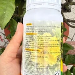 Combo 3 Món Kích Nụ Dưỡng Nụ Mai – Tạo Nụ 0-38-7 250ml + Kali Bo 25g + Canxi Nitrate 100g – Hoa To, Màu Đẹp lâu tàn