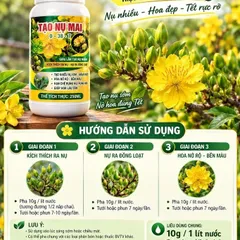Siêu Lân Tạo Nụ Mai 0-38-7 Dạng Nước 250ml – Kích Nụ Mạnh, Nụ Mai Mập Khỏe, Ra Hoa Đồng Loạt
