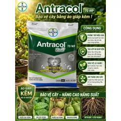Antracol 70WP Bayer Đức 100g Zinc++ Bảo Vệ Cây Tăng Sức Đề Kháng Phòng Bệnh Cho Cây Trồng