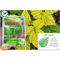 Magie Kẽm 50g- 100gr | Bổ Sung Mg + Zn | Biến Vàng Thành Xanh | Xanh Lá, Dày Lá, To Trái