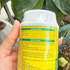 Phân NPK Kích Ra Hoa Đậu Trái 6-32-32, Lọ 100gram