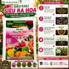 Combo 10 Gói Siêu Kali Siêu Ra Hoa 20g | NPK 15-5-40+TE | Kích Ra Hoa Đậu Quả Đồng Loạt | Phân Bón Hoa Mai, Cây Ăn Trái