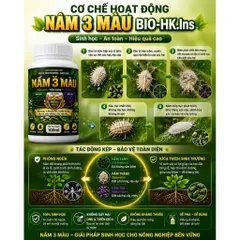 NẤM 3 MÀU BIO-HK.Ins 100ml | Diệt Nấm Bệnh - Trừ Rệp Sáp, Tuyến Trùng, Sâu Hại Tận Gốc | Chế Phẩm Sinh Học An Toàn