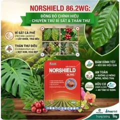 [Tặng cọ quét] Thuốc Trừ Bệnh Norshield 86.2WG Gói 50g – Đặc trị nấm, sạch bệnh nhanh, an toàn cây trồng