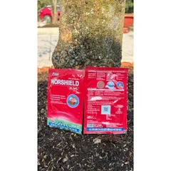 [Tặng cọ quét] Thuốc Trừ Bệnh Norshield 86.2WG Gói 50g – Đặc trị nấm, sạch bệnh nhanh, an toàn cây trồng