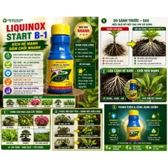 [Combo 5 chai] Liquinox Start B1 Kích Rễ Cực Mạnh – Phục Hồi Cây Suy, Bật Chồi Nhanh, Dùng Cho Mọi Loại Cây Trồng