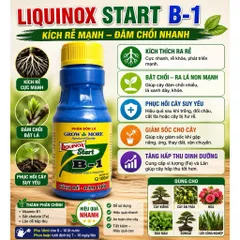 [Combo 5 chai] Liquinox Start B1 Kích Rễ Cực Mạnh – Phục Hồi Cây Suy, Bật Chồi Nhanh, Dùng Cho Mọi Loại Cây Trồng