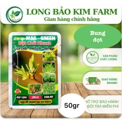 [Combo 10 gói] BẬT CHỒI NHANH – ĐÁNH THỨC MẦM NON, CÂY BẬT CHỒI CỰC MẠNH