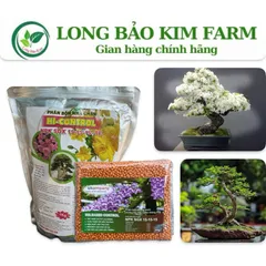 Phân tan chậm hi control 15 15 15 hàng nhập khẩu Hà Lan