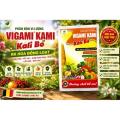 COMBO 10 GÓI SIÊU KALI BO RA HOA ĐẬU QUẢ CHỐNG RỤNG TRÁI NON GÓI 25GR