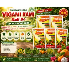 COMBO 10 GÓI SIÊU KALI BO RA HOA ĐẬU QUẢ CHỐNG RỤNG TRÁI NON GÓI 25GR