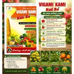 COMBO 10 GÓI SIÊU KALI BO RA HOA ĐẬU QUẢ CHỐNG RỤNG TRÁI NON GÓI 25GR