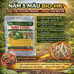 Nấm 3 Màu Bio-HK 1KG – Giải Pháp Vi Sinh Giảm Tuyến Trùng, Nấm Bệnh, Kích Rễ Khỏe – Cải Tạo Đất Hiệu Quả
