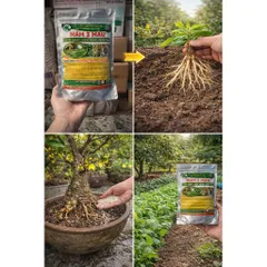 Nấm 3 Màu Bio-HK 1KG – Giải Pháp Vi Sinh Giảm Tuyến Trùng, Nấm Bệnh, Kích Rễ Khỏe – Cải Tạo Đất Hiệu Quả