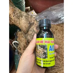 Kích rễ Mai Vàng A01 - thuốc kích rễ cực mạnh 100ml dùng cho Cây mai vàng, hoa hồng, cây cảnh