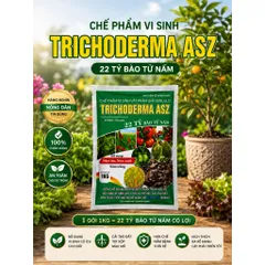 Nấm Trichoderma 1kg 22 tỷ bào tử nấm lệ siêu cải tạo đất trồng phòng trừ nấm rễ cây