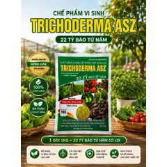 Nấm Trichoderma 1kg 22 tỷ bào tử nấm lệ siêu cải tạo đất trồng phòng trừ nấm rễ cây