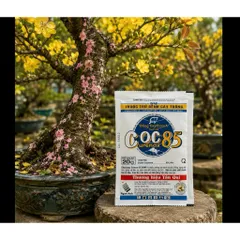 Hộp 10 gói Thuốc Trị Nấm Cây Trồng , Coc85 Wp, Gói 20gr, Trừ Đốm Lá Cho Hoa Hồng, Cây Cảnh, Cây Ăn Quả