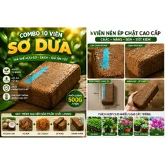 Combo 10 Viên Sơ Dừa Nén 500G/Viên - Xơ Dừa Ép Khối Giữ Ẩm Tốt Trồng Rau Hoa Lan Sen Đá Cây Cảnh