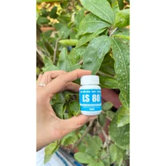 LS80 Kích Mầm Keiki Tạo Chồi Mới Cho Lan, Mai, Cây Kiểng Bonsai Hũ 30g