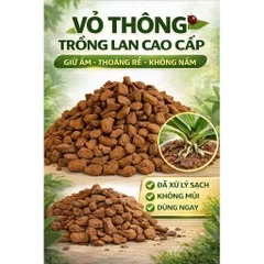 [ Combo 5kg] vỏ thông đỏ trồng lan đã được xử lý túi