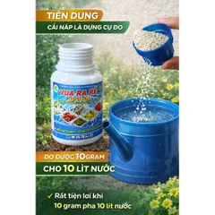 Siêu Ra Rễ Combi  – NPK 12-6-8+TE, Hỗ Trợ Ra Rễ, Bung Đọt, Dùng Cho Lan, Mai, Cây Kiểng