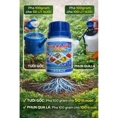Siêu Ra Rễ Combi  – NPK 12-6-8+TE, Hỗ Trợ Ra Rễ, Bung Đọt, Dùng Cho Lan, Mai, Cây Kiểng