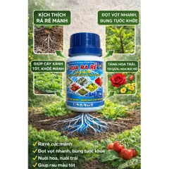 Siêu Ra Rễ Combi  – NPK 12-6-8+TE, Hỗ Trợ Ra Rễ, Bung Đọt, Dùng Cho Lan, Mai, Cây Kiểng