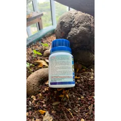 Siêu Ra Rễ Combi  – NPK 12-6-8+TE, Hỗ Trợ Ra Rễ, Bung Đọt, Dùng Cho Lan, Mai, Cây Kiểng