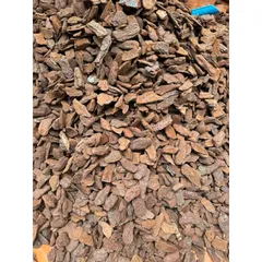 Vỏ thông đỏ cao cấp xay đẹp gói 1kg