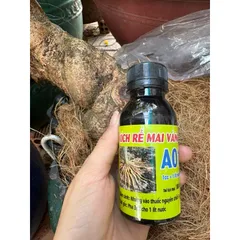 Kích rễ mai vàng A01 combo 4chai 100ml hàng công ty Hải An Khang